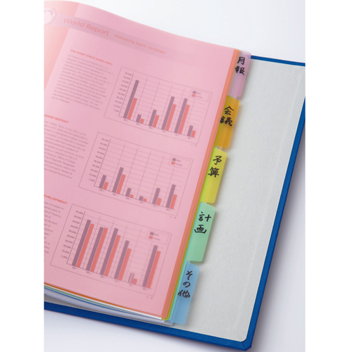 たのめーる】TANOSEE インデックス(PP) A4タテ 2穴 5山 1パック(2組)の通販