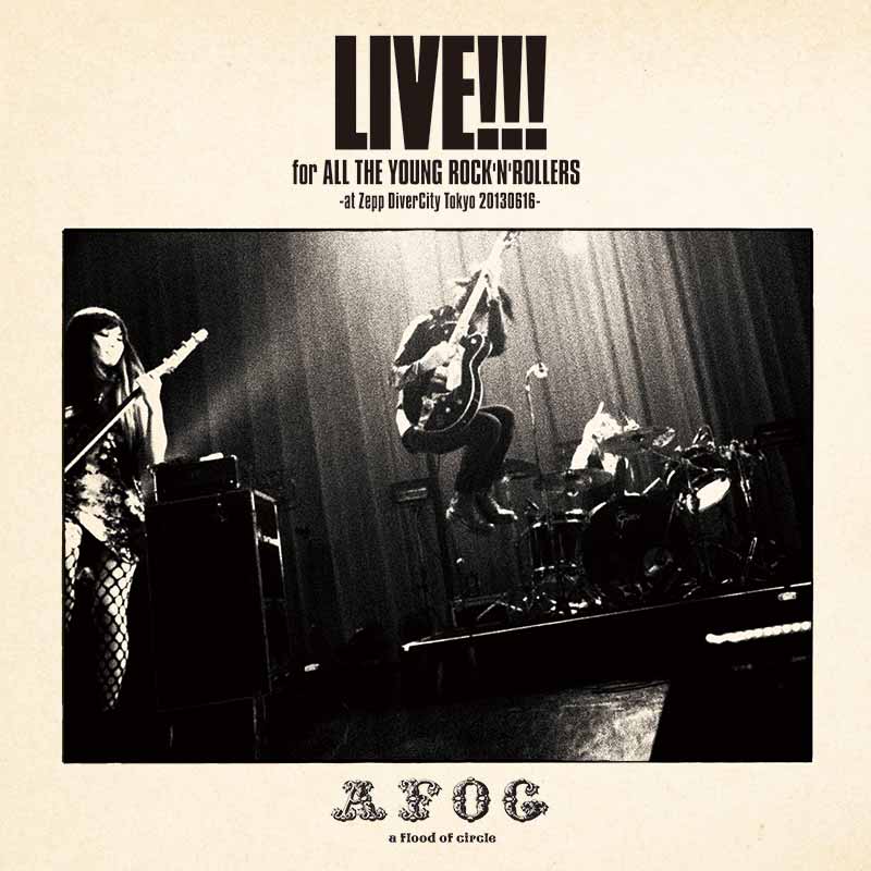a flood of circle［LIVE!!! for ALL THE YOUNG ROCK'N'ROLLERS -at