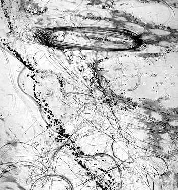 Emmet Gowin: Changing the Earth; Introduction by Jock Reynolds