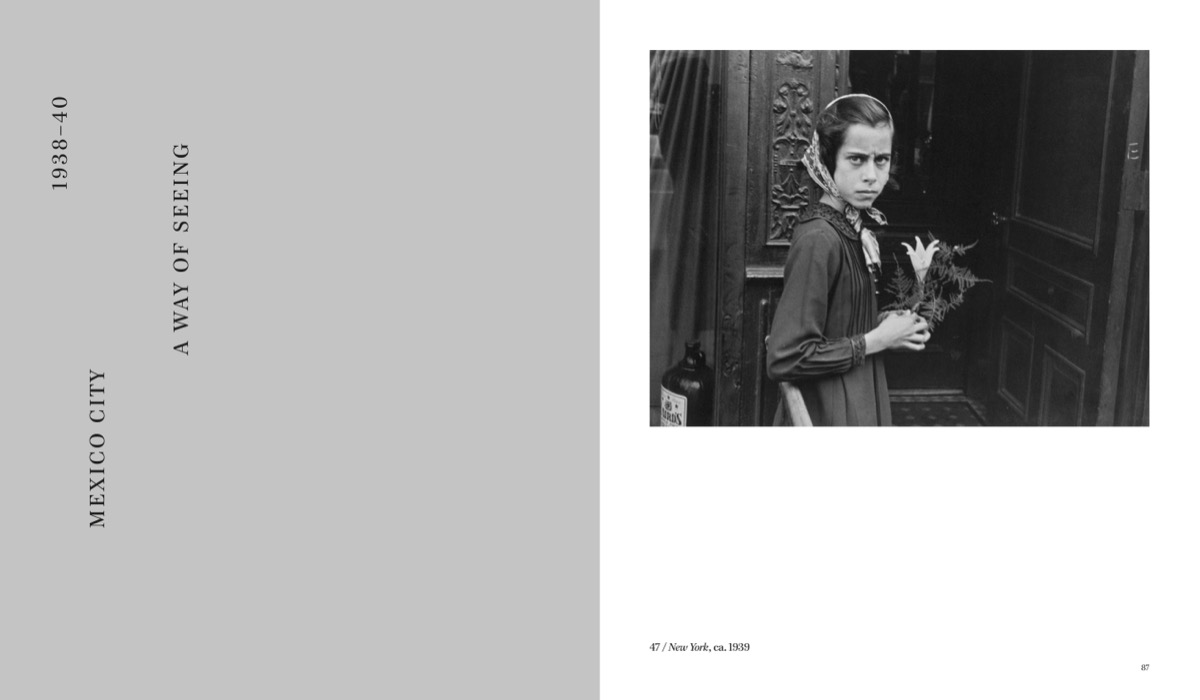 Thames & Hudson USA - Book - Helen Levitt