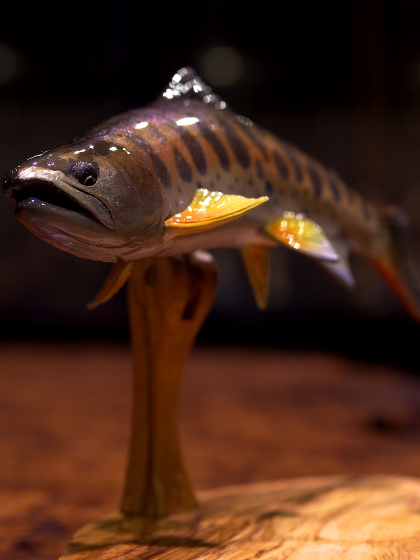 the naturalist riverside （ザ・ナチュラリスト リバーサイド