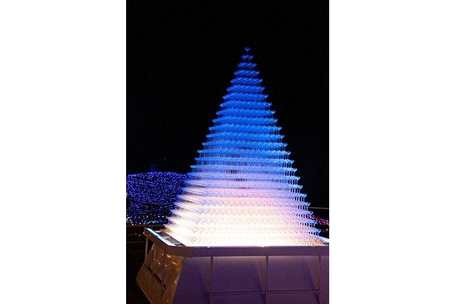 冬の夜を彩る“星空散歩”