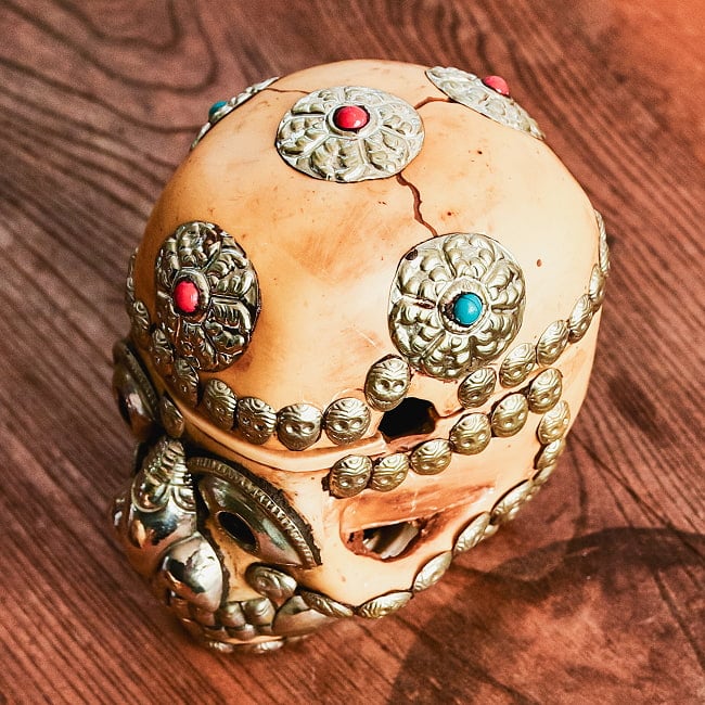 頭蓋骨杯 カパラ [約14cm×11cm×13.5cm] の通販[送料無料] - TIRAKITA.COM