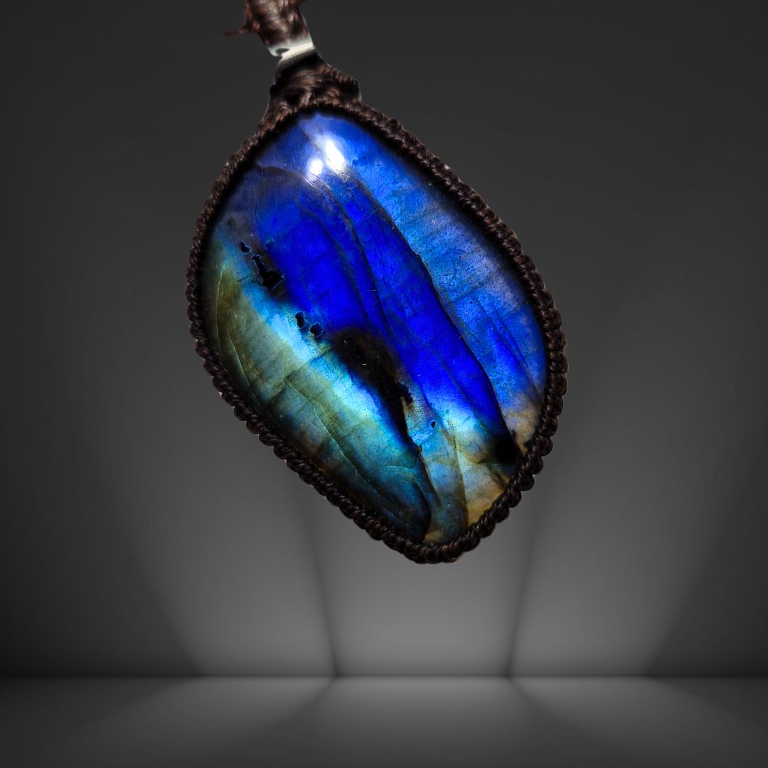 蒼瑠（そうる）