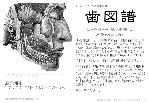 貴重書ミニ展示「歯図譜」を開催中です【9月27日（火曜日）まで