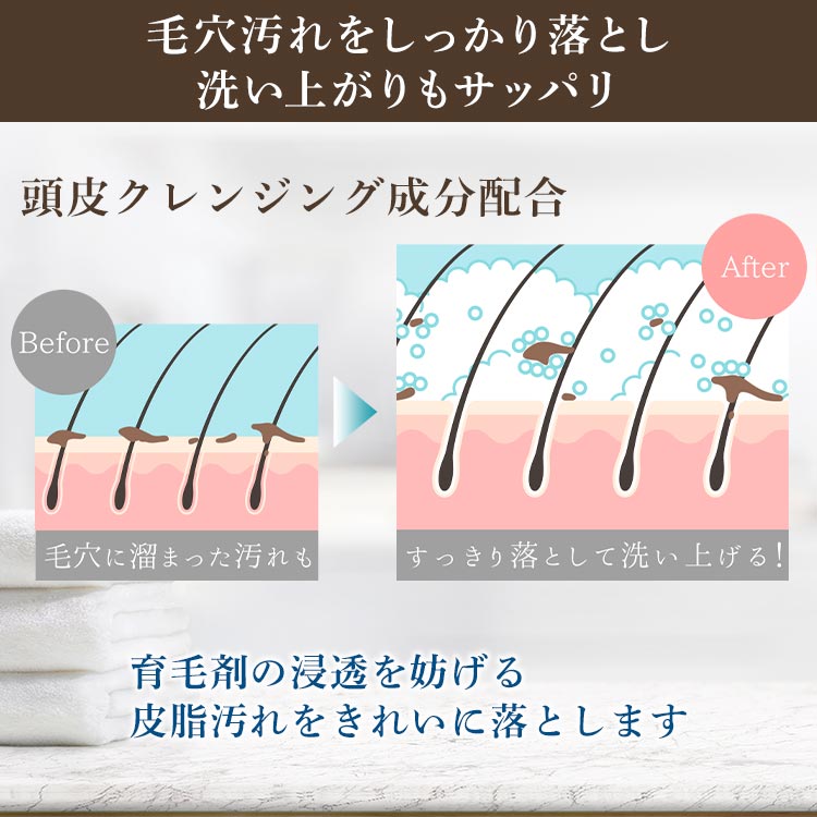 ザ・チャーガ 薬用スカルプシャンプー2本セット｜テレ東マート