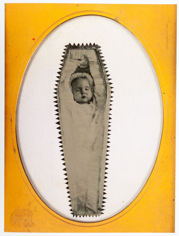 Sleeping Beauty – Twin Palms Publishers