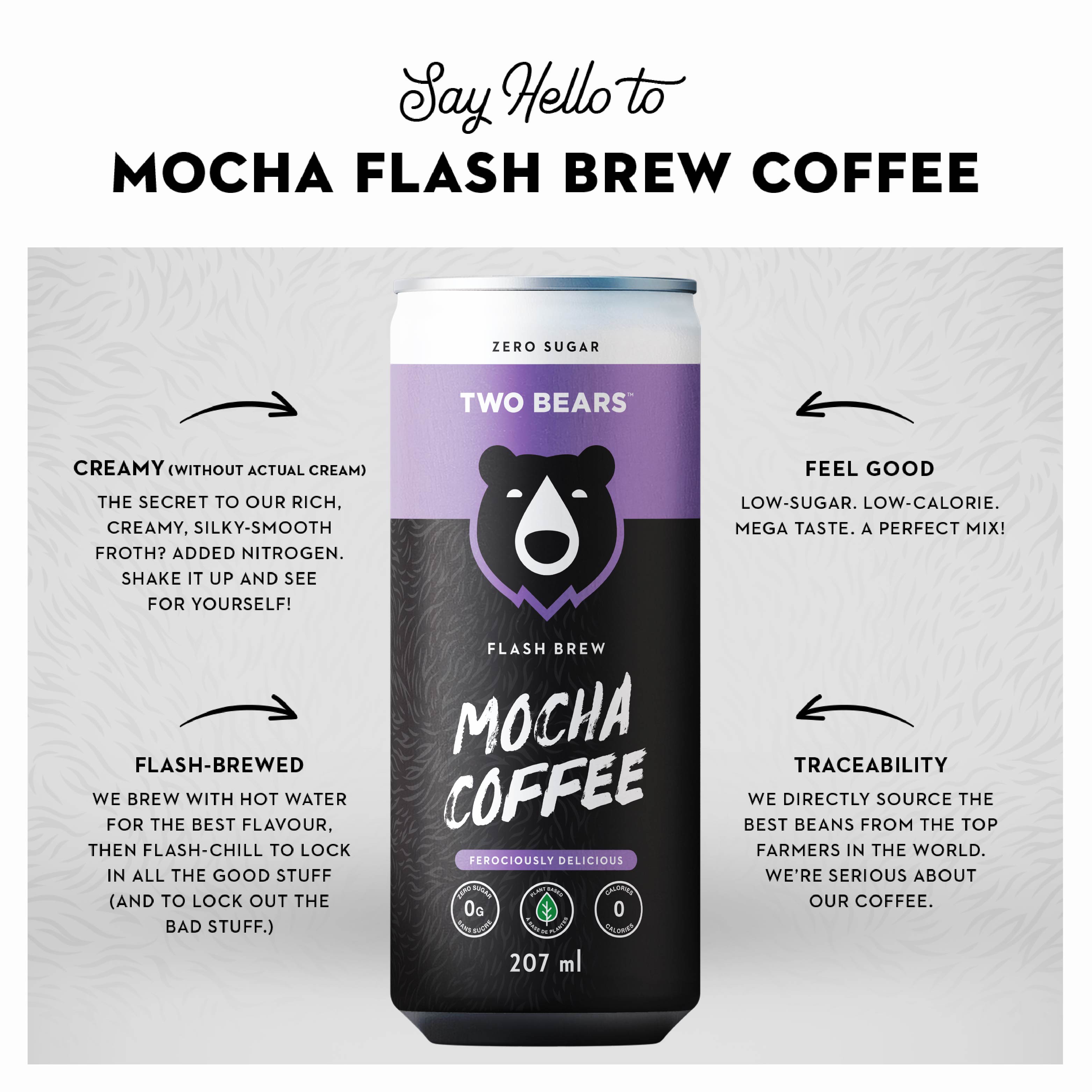 Mocha Flash Brew – Cocoa-Rich, Zero Refined Sugar | Two Bears
