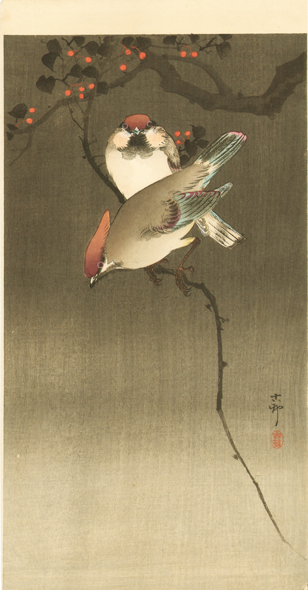 没後80年 小原古邨 ―鳥たちの楽園 | 太田記念美術館 Ota Memorial