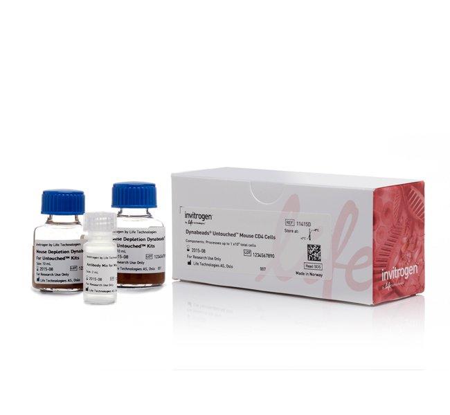 Dynabeads CD8 Positive Isolation Kit | 製品情報 | ベリタス