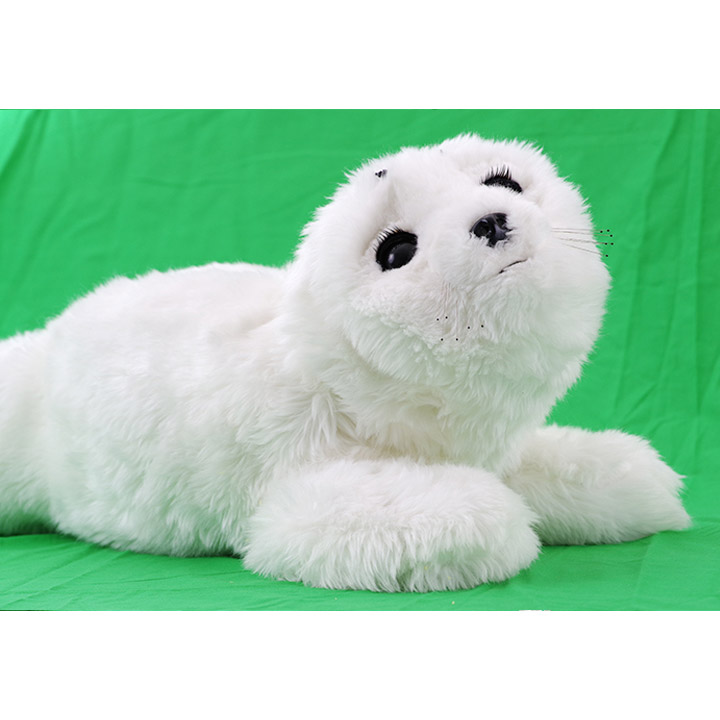 アザラシ型ロボット パロ（ホワイト）（メンテナンスパック付