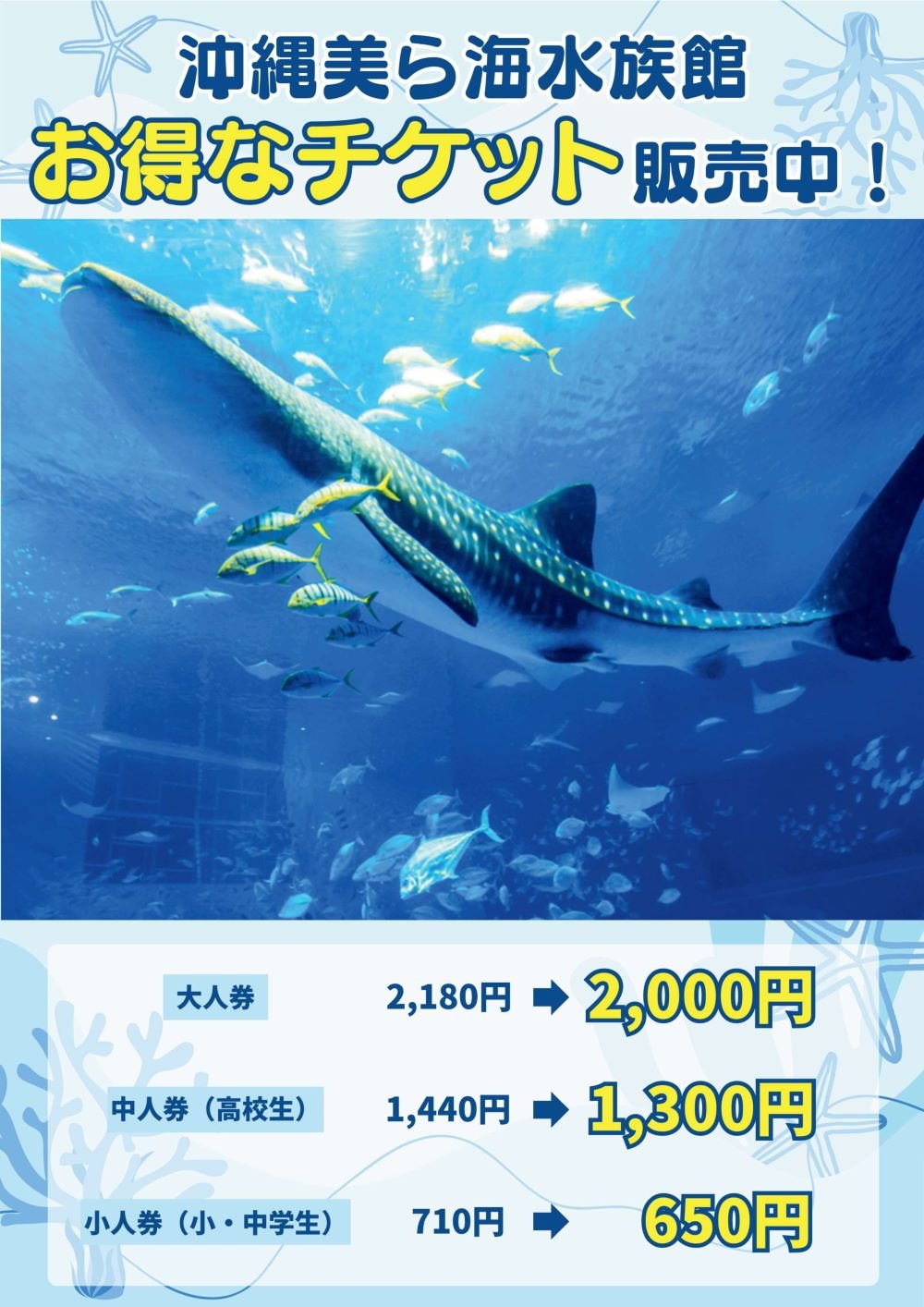 美ら海水族館チケット」の購入でSA・PAで使える100円割引クーポンを