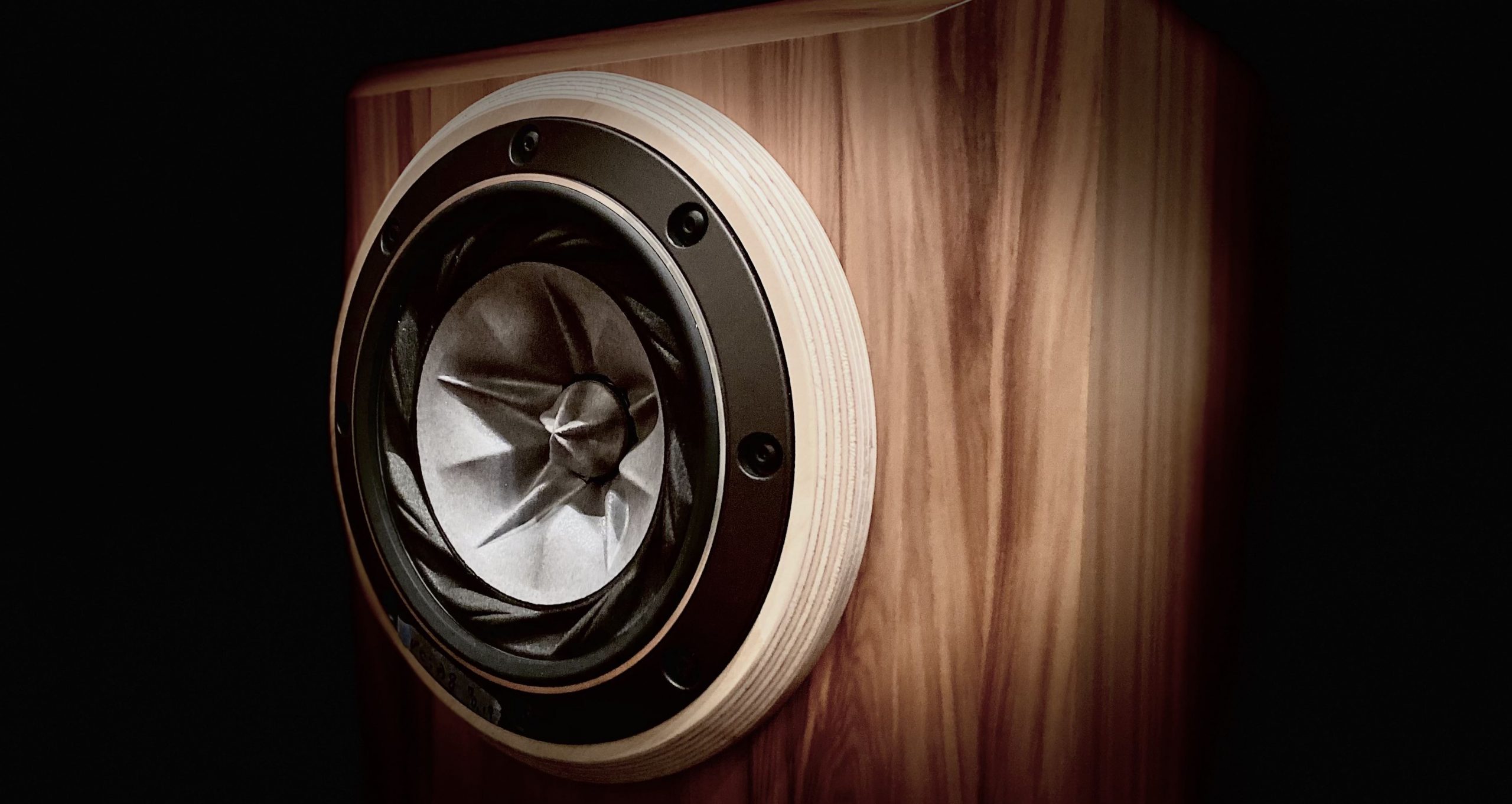 Fostex の限定ユニット FE168SS-HP, T90A-SE 登場 – Xperience Speaker