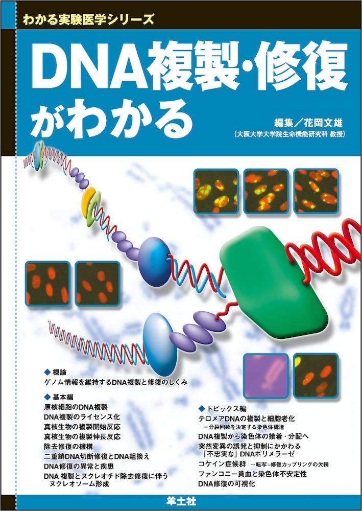 わかる実験医学シリーズ：DNA複製・修復がわかる - 羊土社