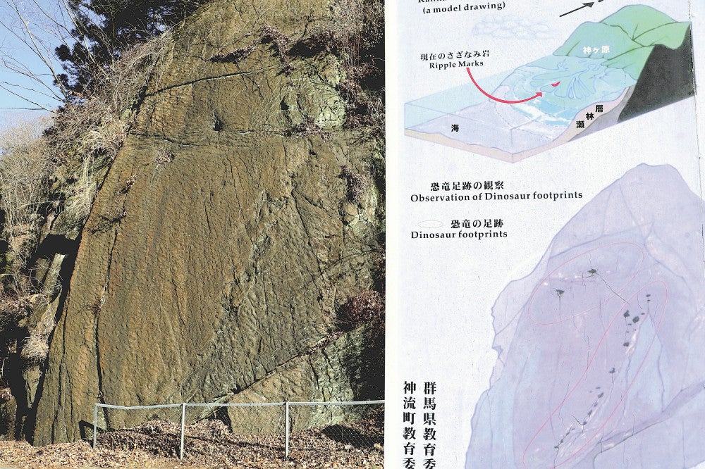 国道沿いの岩に日本初「恐竜の足跡化石」、40年前に発表の研究者