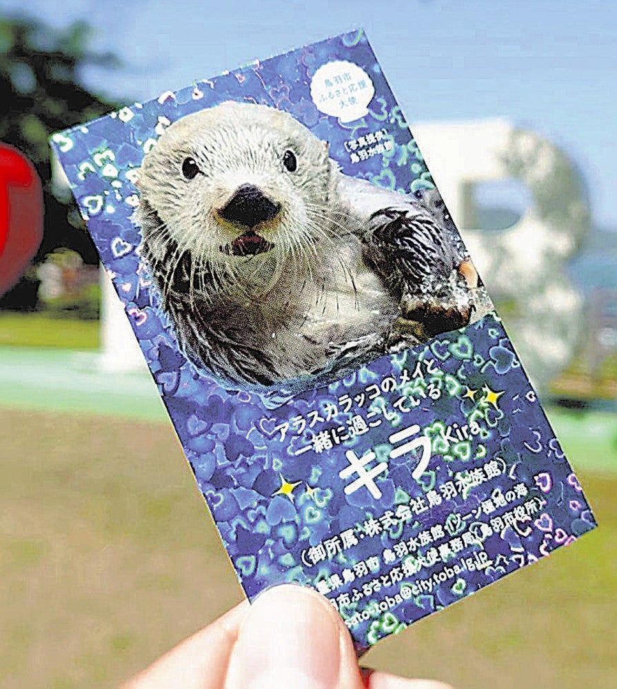 三重：「ラッコ名刺」単独返礼品に 鳥羽水族館 「メイ」と「キラ」新た