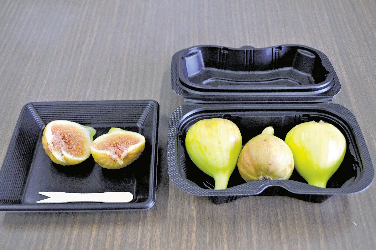 皮ごとイチジク新品種…愛知県農業試験場 30年頃から出荷へ ：地域
