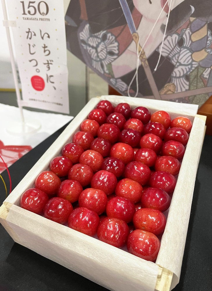 20250105-OYT1I50035-1.jpg?type=ogp