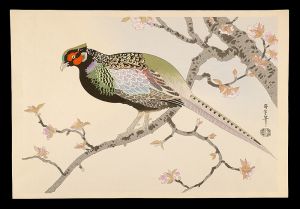 麻田弁自（弁次） | 美術作品 | 山田書店美術部オンラインストア