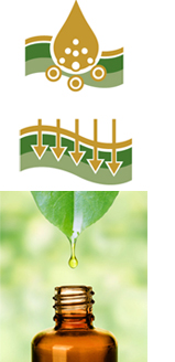 ユニバーサル エッセンスV (美容成分導入美容液）