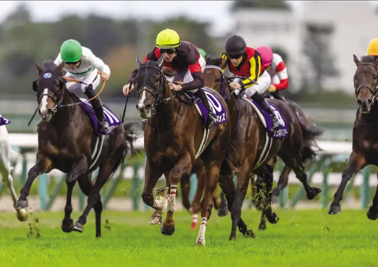 優駿スタリオンステーション 種牡馬 -2025- のご案内 - 優駿