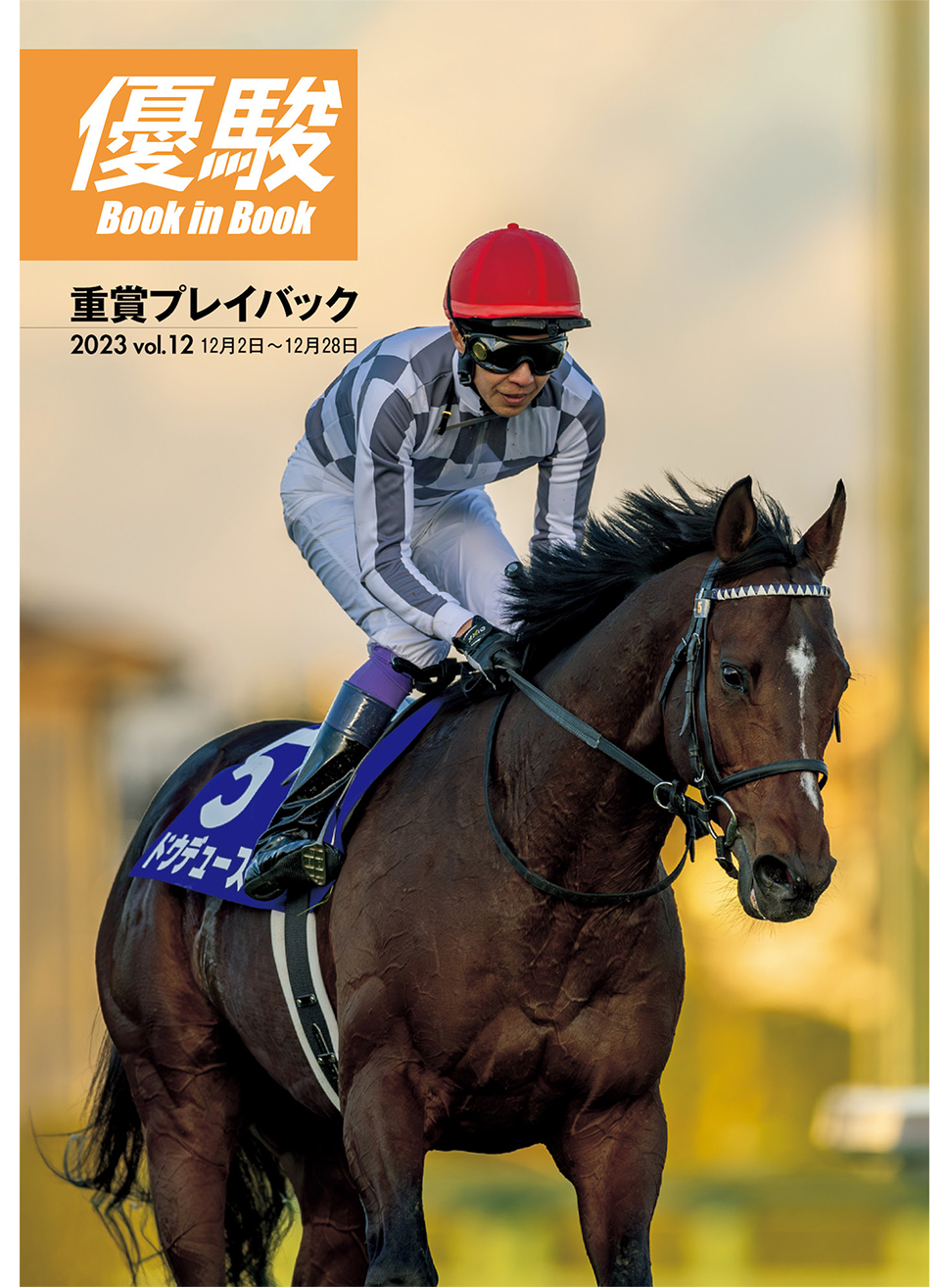 JRA ターフヒーロー 優駿3月号増刊 1996-1999 全重賞カラーグラフ JRA
