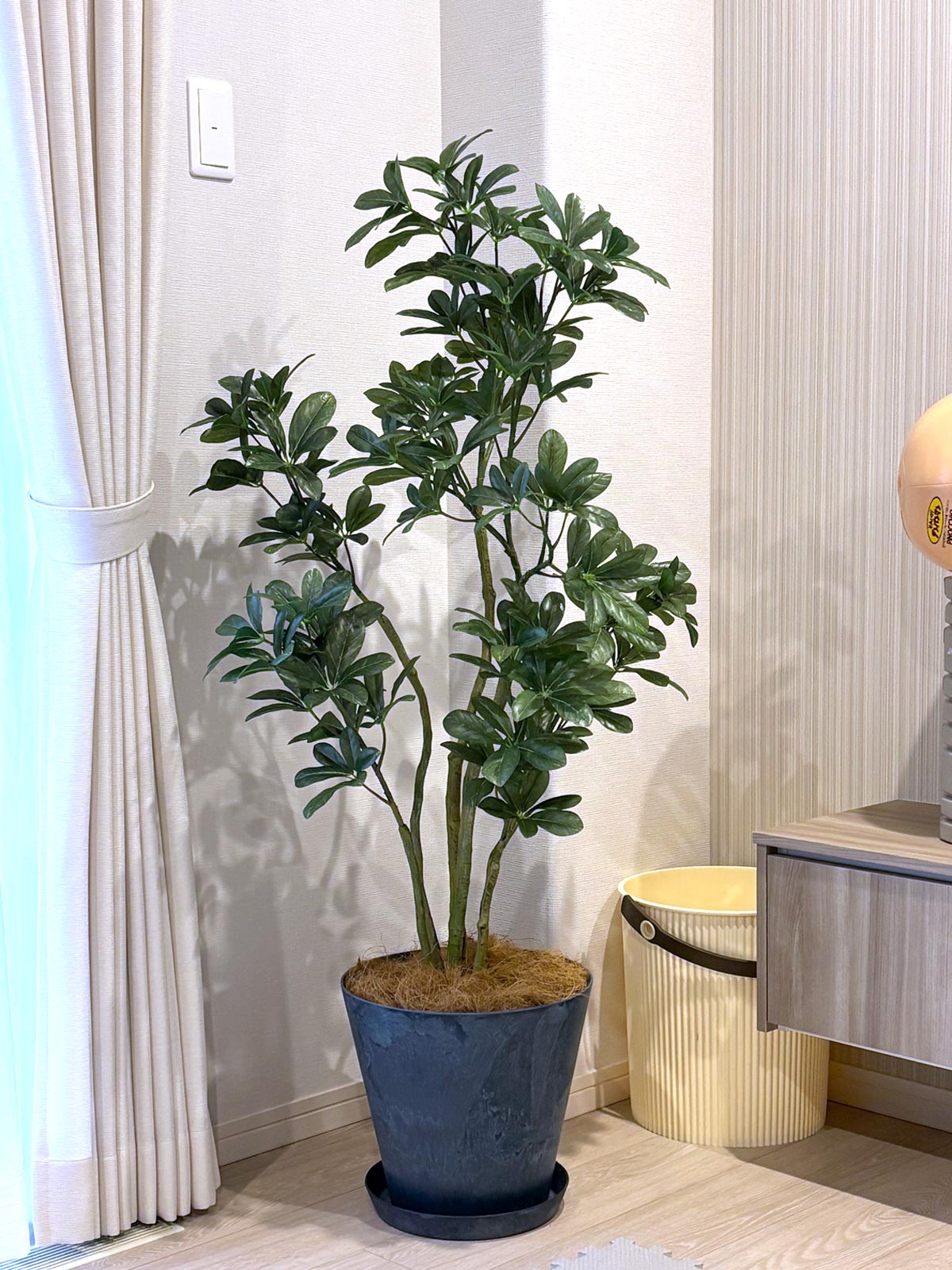 コーヒーの木 | プレミアム光触媒フェイクグリーン 造花ドットコム