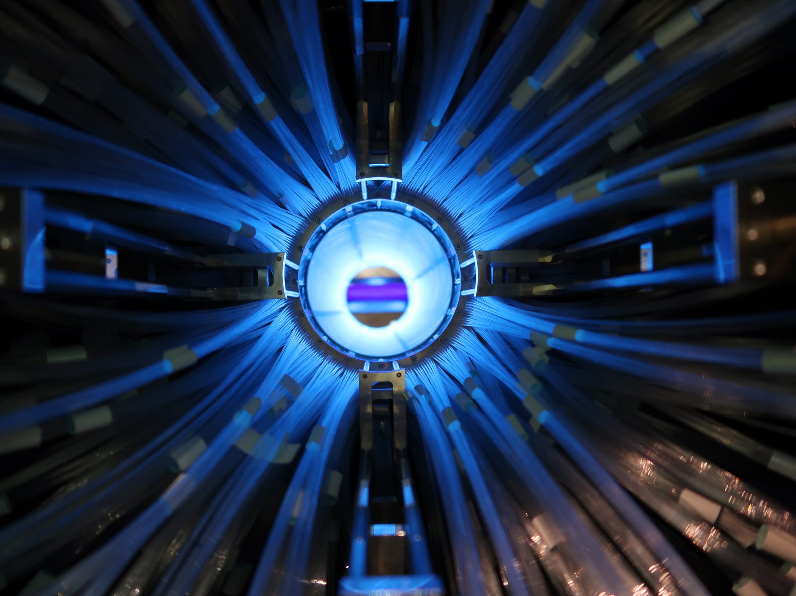 筑波サイエンスワークショップ2019」を開催 京都府の高校生がつくばに