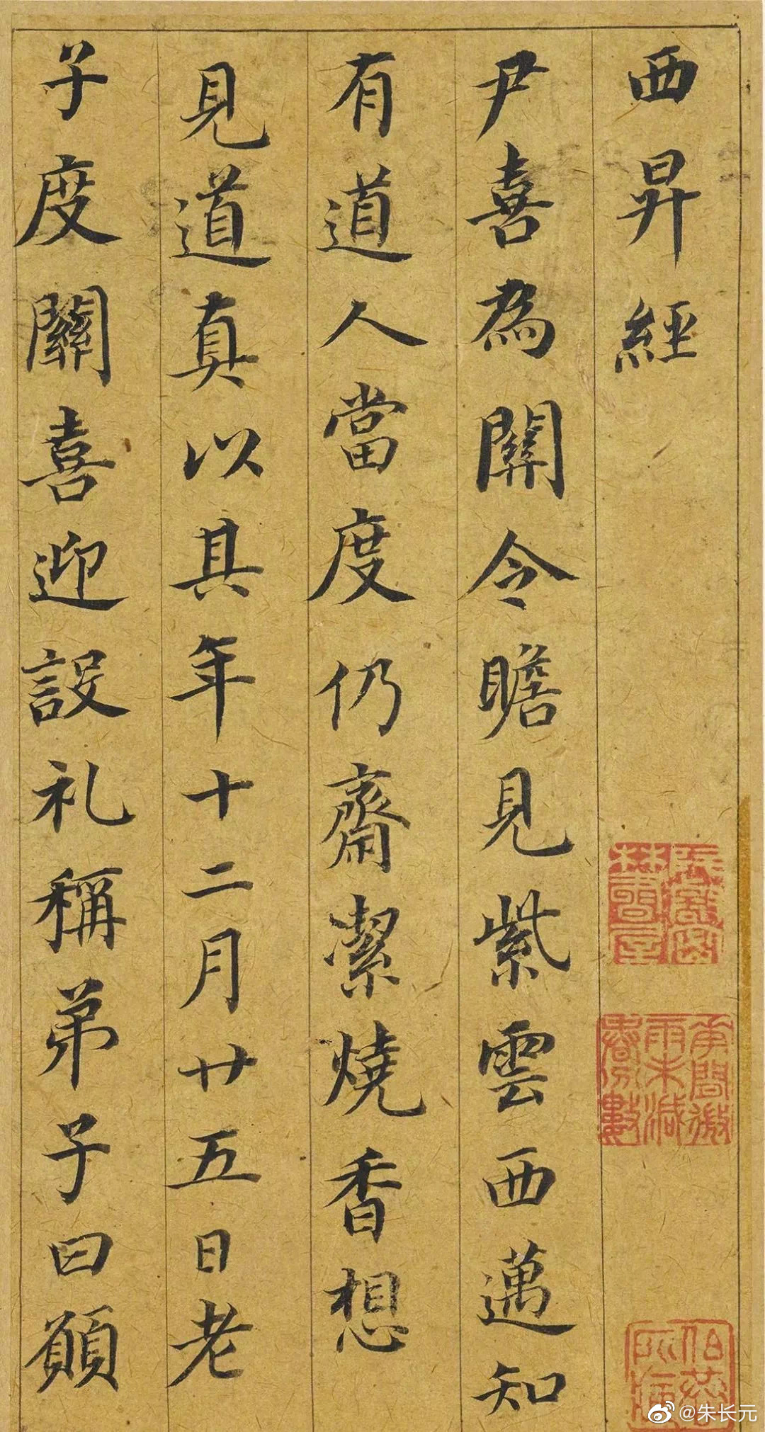 掛軸 茶掛 大徳寺 如意庵 立花大亀【本来無一物】 自筆 一行 紫野 大亀