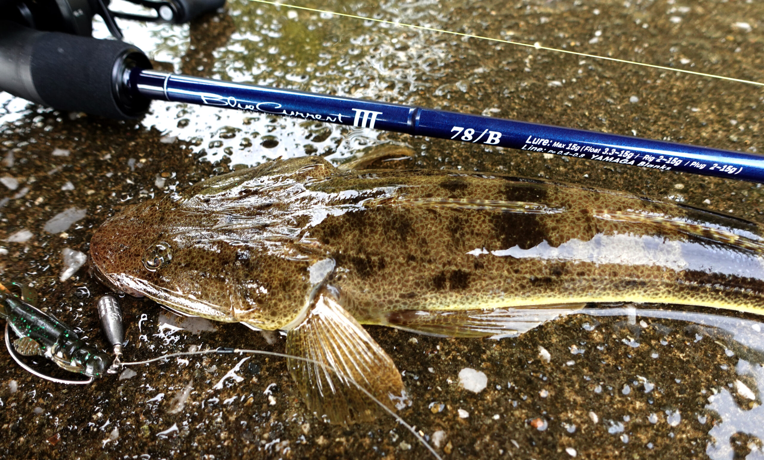 2024 新製品解説】BlueCurrentⅢ 78＆78/B 徹底解説 | YAMAGA