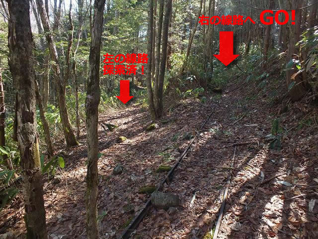 続 実測図日本の名園 実測図 日本の名園 続(重森三玲 編著) / 古本