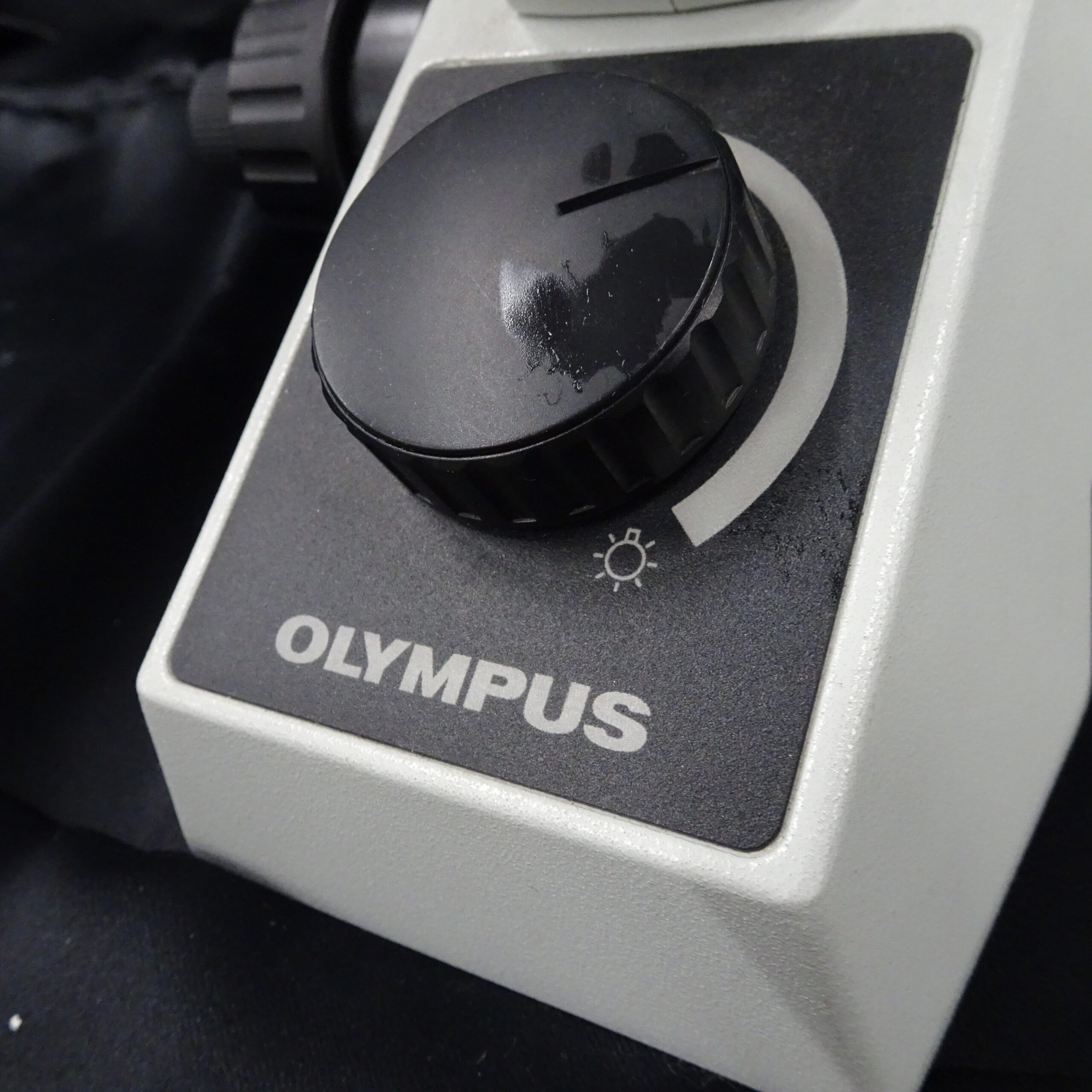 OLYMPUS CKX31 顕微鏡 NAO.30レンズ付き 値下げしました OLYMPUS CKX31