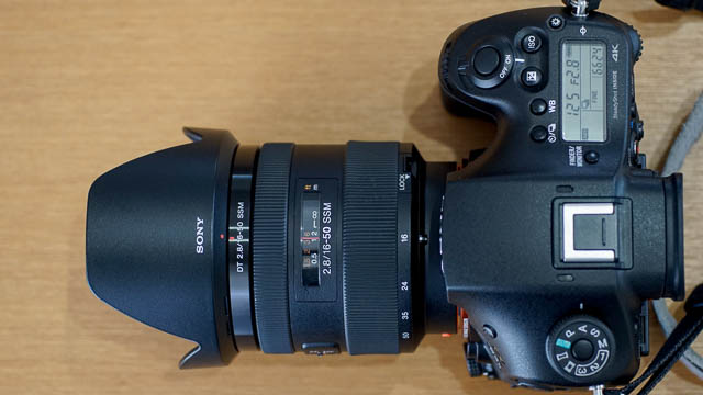α99II標準ズームレンズは子供や日常スナップに【SONY DT 16-50mm F2.8