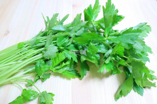 みつば（三つ葉） | 野菜の図鑑web
