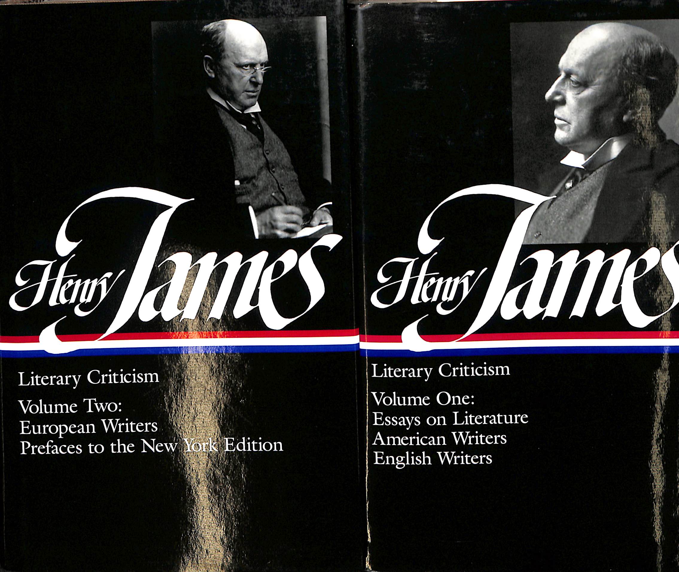 アメリカ文学史 平石貴樹 | 古本よみた屋 おじいさんの本、買います。