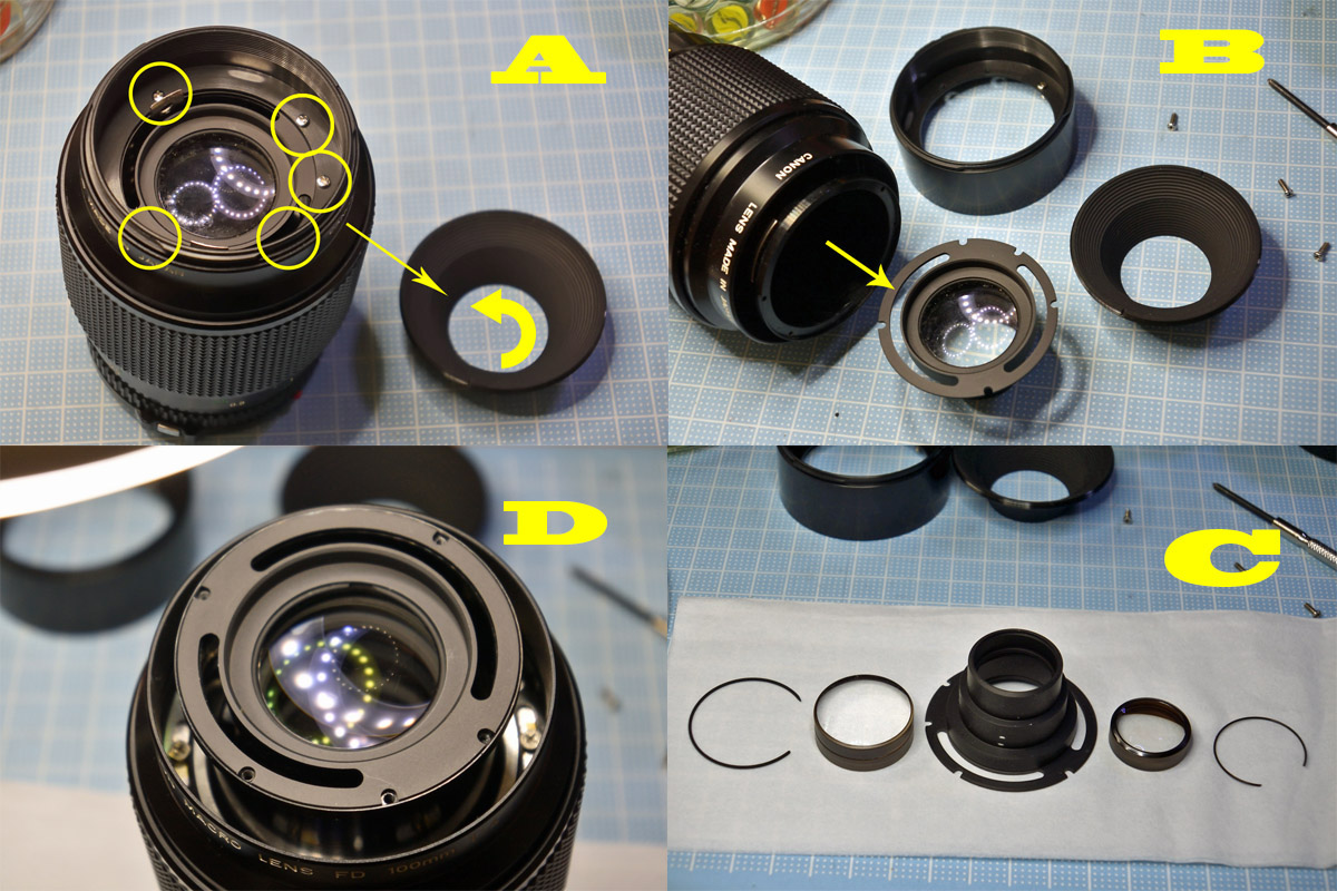 キャノン「Canon NEW FD 100mm F4 MACRO」分解・清掃・作例 | ヨッシー