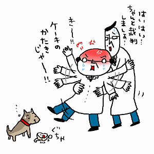 日本の刑事裁判制度の大きな変革、被害者参加制度 | 大学教授による