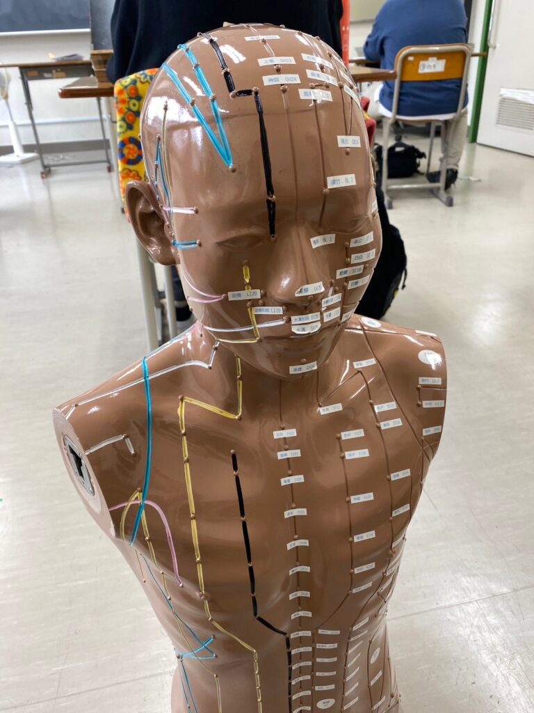 筑波大学附属盲学校の授業見学してきました | プレビアス・田辺由香里