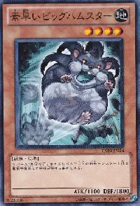 素早いビッグハムスター(スバヤイビッグハムスター)カード効果・評価