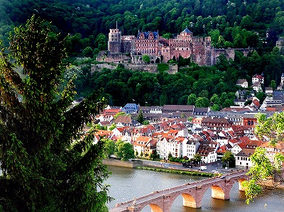 ドイツ薬学視察旅行」レポート | ブログ一覧 | ゆうせい薬局