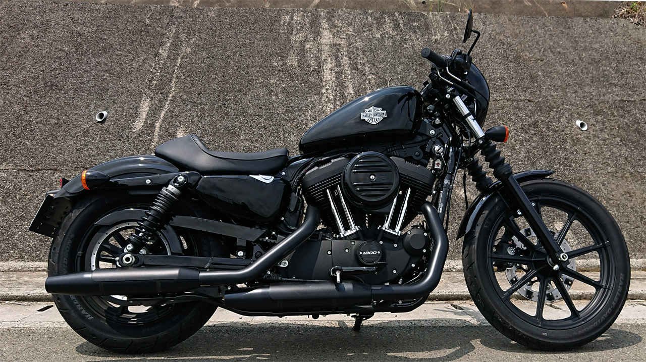 ハーレーダビッドソン スポーツスター アイアン 1200 ガソリンタンク