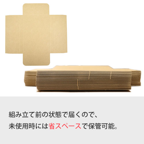 ZAP タトウ式(ヤッコ型)メール便ケース ネコポスB5 【厚み24mm】277