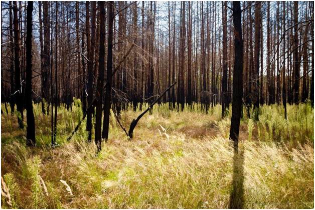 田村清輝F4号グラバー邸