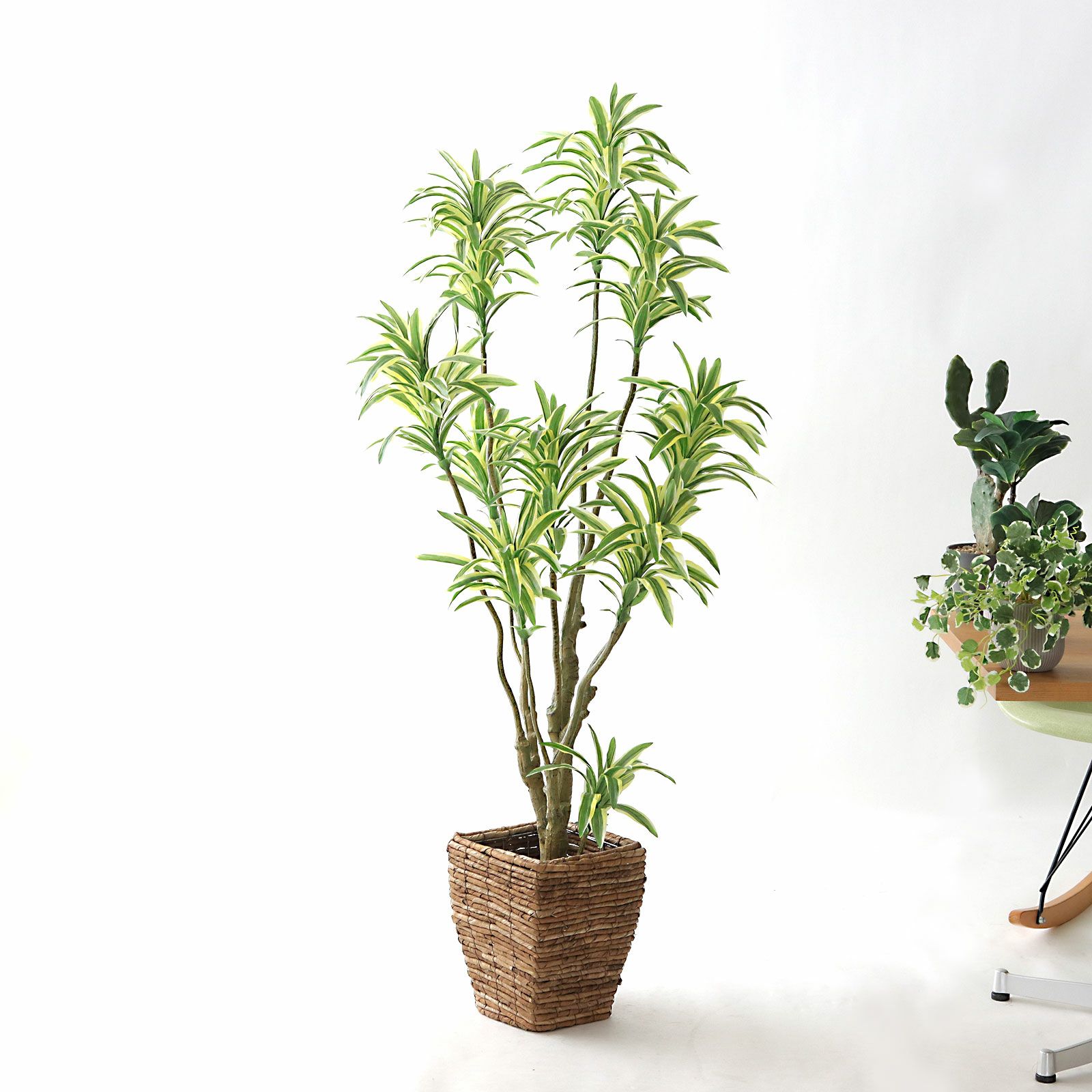 高さ120-150cm | プレミアム光触媒フェイクグリーン 造花ドットコム