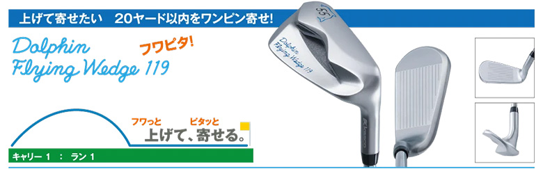 キャスコ ドルフィン DRW-119 DPW-119 DFW-119 ウェッジの通販 テレ東