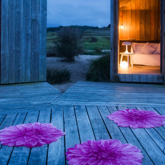 バスマット - ABYSS HABIDECOR 日本公式サイト