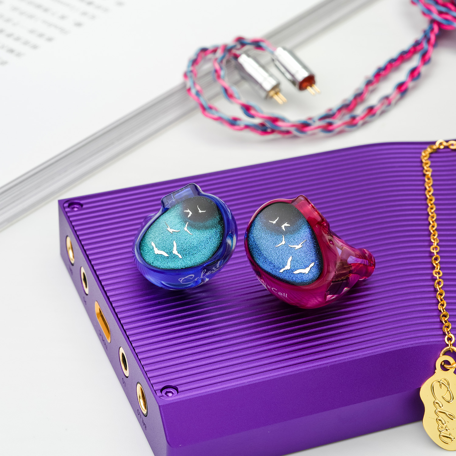 S5fc3747202f4409cabcbab49b616b