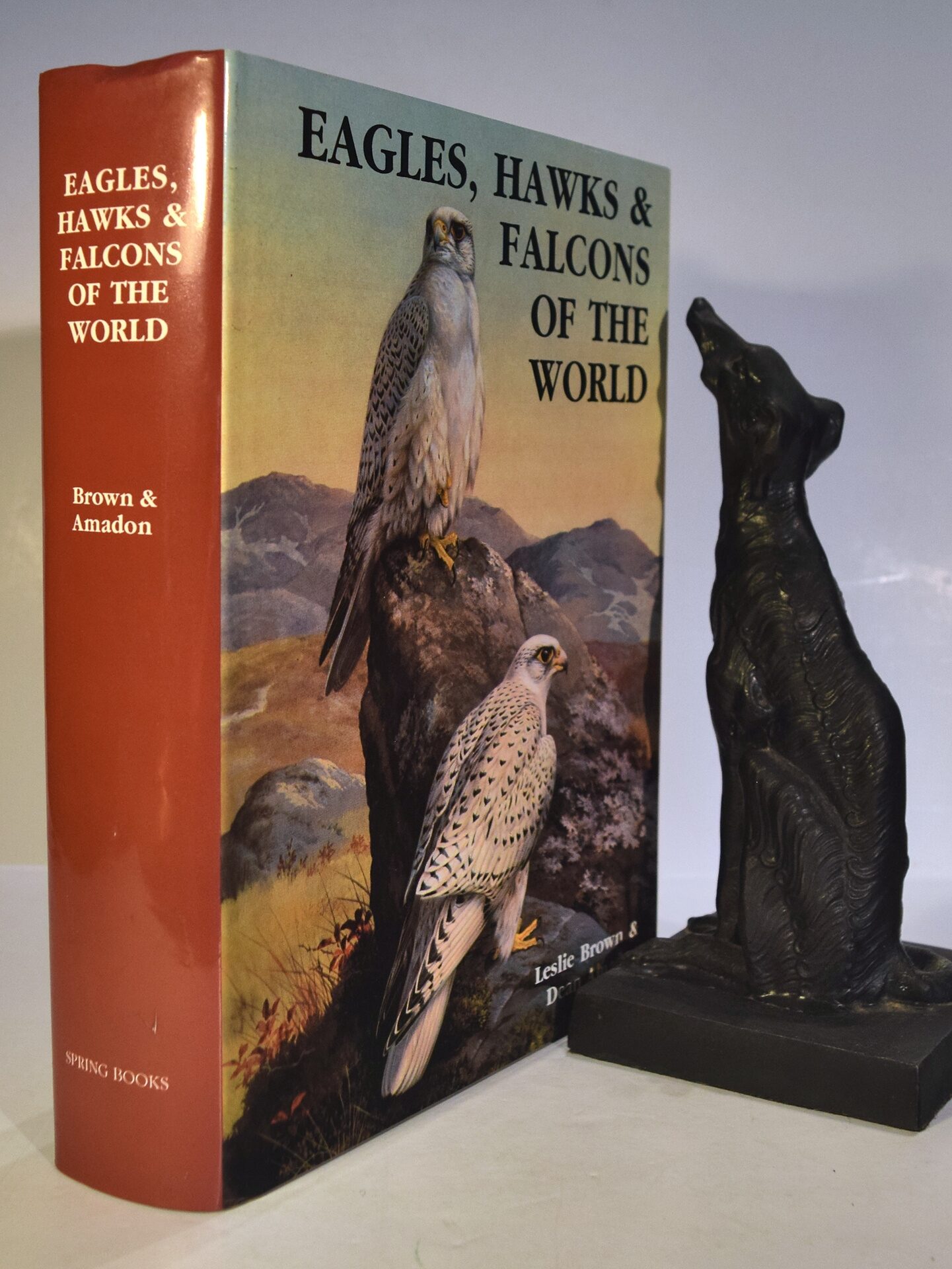 EAGLES, HAWKS & FALCONS OF THE WORLD | Leslie BROWN, Dean AMADON