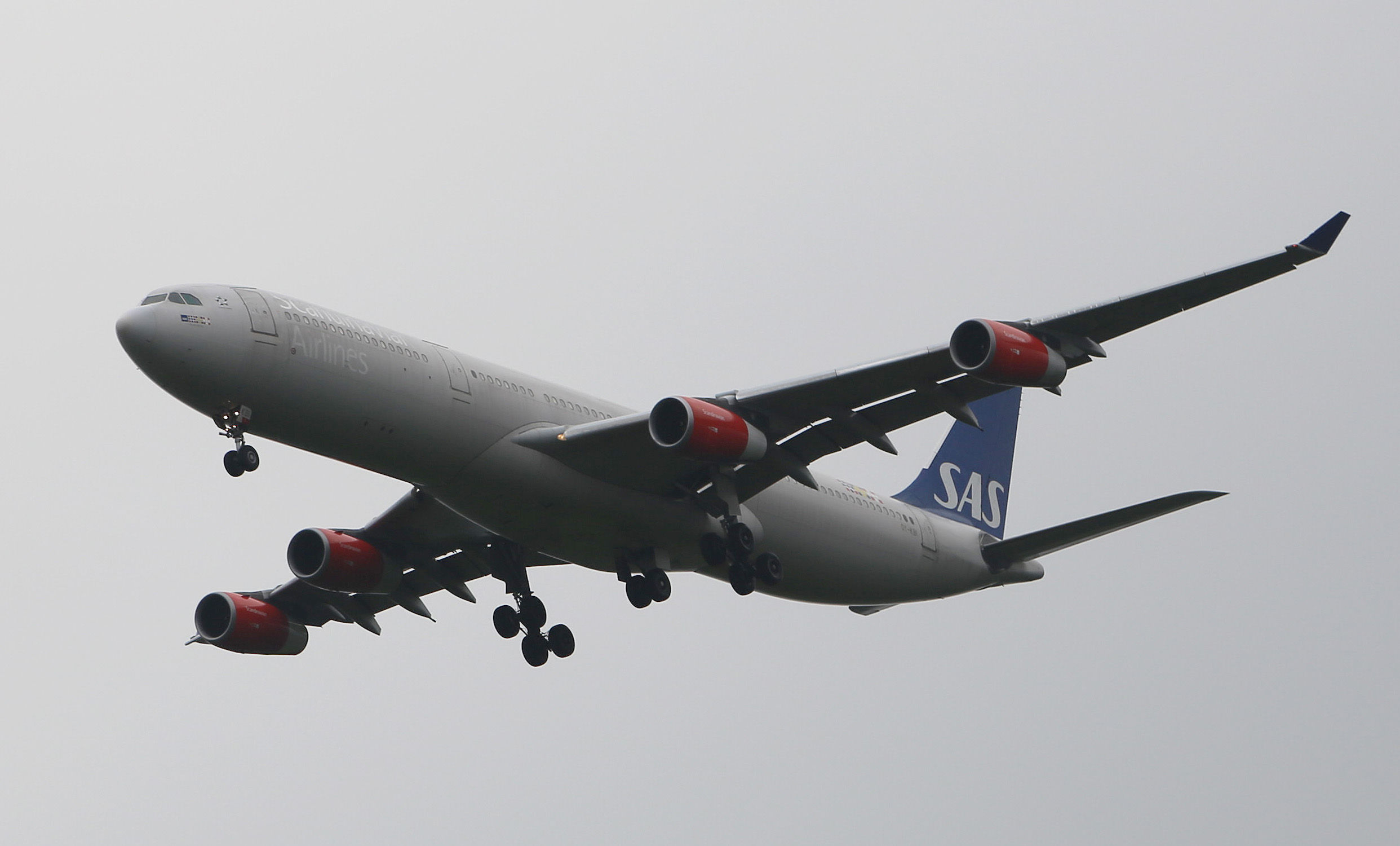 スカンジナビア航空 Scandinavian Airlines System（SK/SAS） 世界の