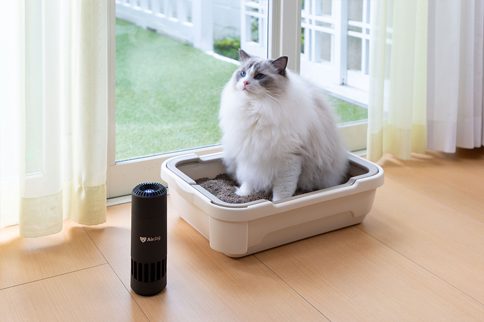 公式】Airdog mini | 世界最強レベル高性能空気清浄機